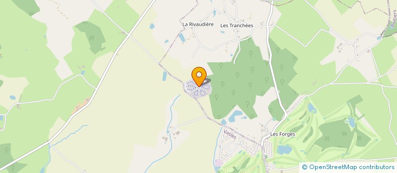 localisation de l'entreprise MADAME NICOLE THOUVENOT  VASLES