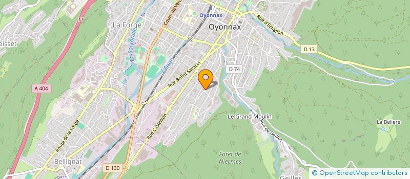 localisation de l'entreprise MADAME NICOLE TOUTAIN à OYONNAX