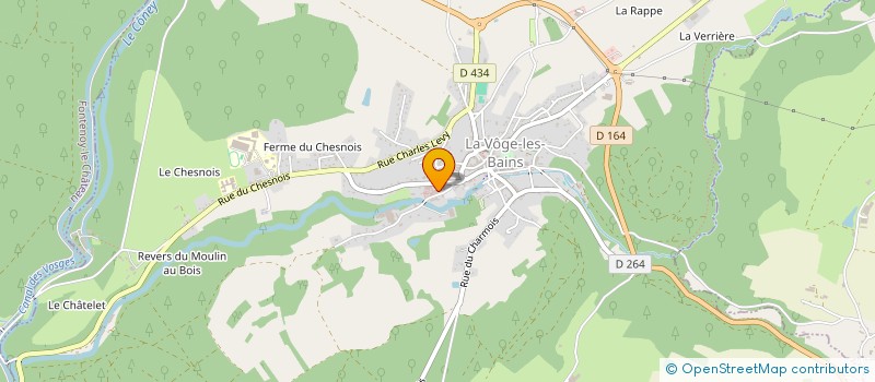 localisation de l'entreprise MADAME NICOLE VIALIS  LA VOGE-LES-BAINS