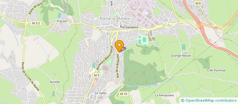 localisation de l'entreprise MADAME NICOLE VOGIEN  ROCHE-LA-MOLIERE