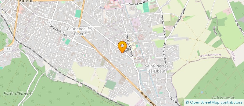 localisation de l'entreprise MADAME NICOLETA BRAJNA  SAINT-PIERRE-LES-ELBEUF