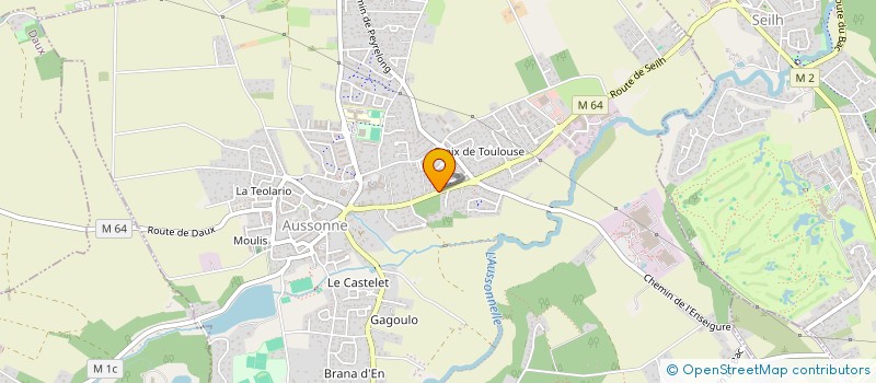 localisation de l'entreprise MADAME NICOLETA CONSTANTIN  AUSSONNE
