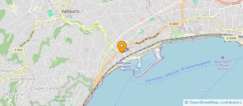 localisation de l'entreprise MADAME NICOLETA-MARGARETA DUMITRU  VALLAURIS