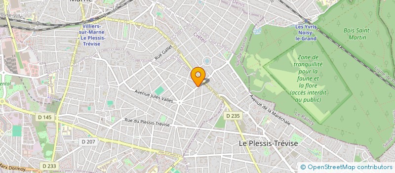 localisation de l'entreprise MADAME NICOLETA-RALUCA RAICU à CHAMPIGNY-SUR-MARNE