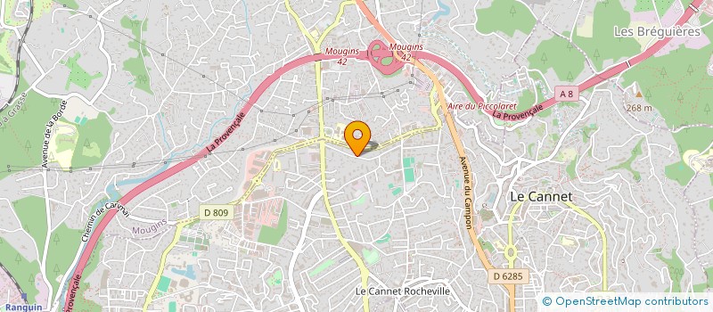 localisation de l'entreprise MADAME NICOLETA STANILA à LE CANNET