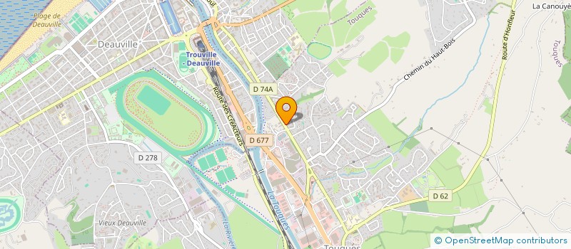 localisation de l'entreprise MADAME NICOLETA TULBEA  TOUQUES