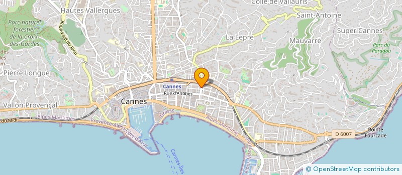 localisation de l'entreprise MADAME NICOLINE VAN EIJK  CANNES