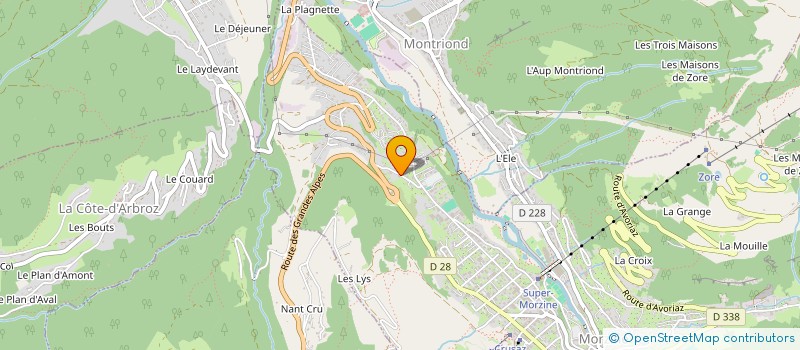 localisation de l'entreprise MADAME NICOLLE CHEDAL à MORZINE