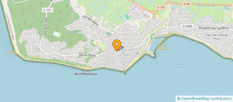 localisation de l'entreprise MADAME NICULINA NICULAE  LA TRANCHE-SUR-MER