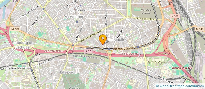 localisation de l'entreprise MADAME NIDAL ALAHMAD  LILLE