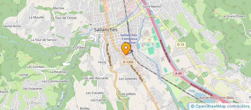 localisation de l'entreprise MADAME NIKITA ODIN  SALLANCHES