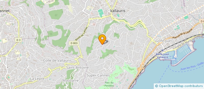 localisation de l'entreprise MADAME NIKTA MOWLAVI à VALLAURIS
