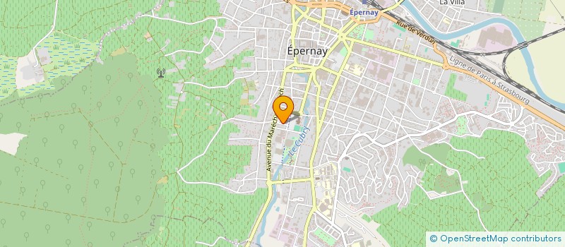 localisation de l'entreprise MADAME NILGUN ASIK  EPERNAY