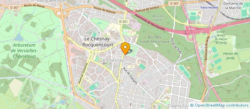 localisation de l'entreprise MADAME NILOOFAR TAHBAZ SALEHI  LE CHESNAY-ROCQUENCOURT