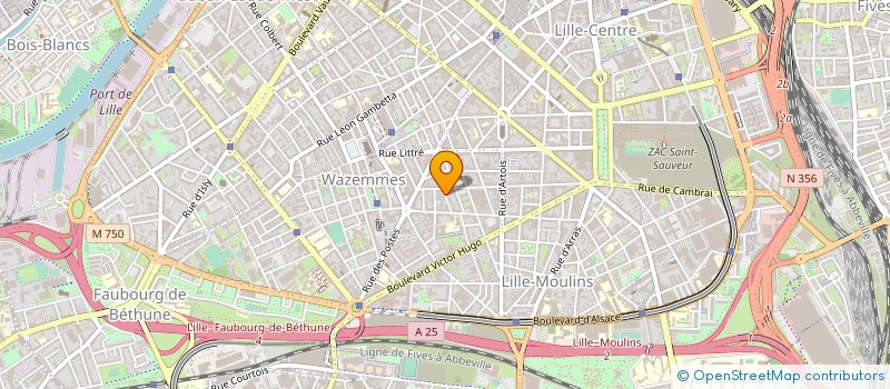 localisation de l'entreprise MADAME NINA AYATE à LILLE