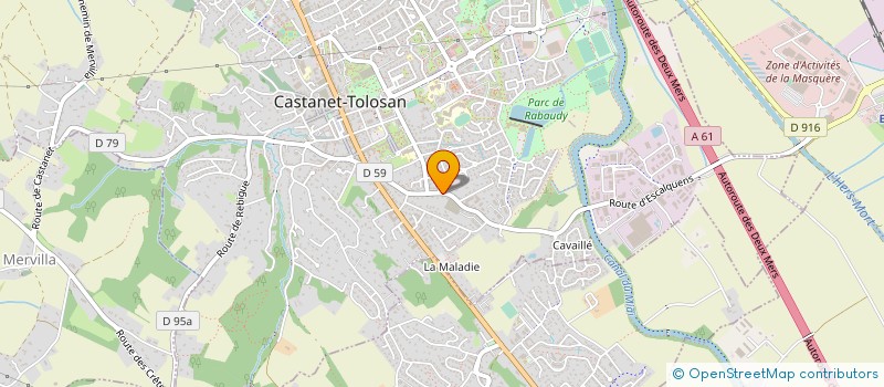localisation de l'entreprise MADAME NINA BALUSSOU-VERGE à CASTANET TOLOSAN