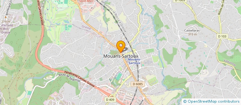 localisation de l'entreprise MADAME NINA BOGADELNIKOVA  MOUANS-SARTOUX