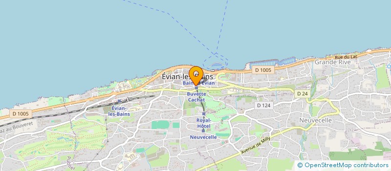 localisation de l'entreprise MADAME NINA BOSSON  EVIAN-LES-BAINS