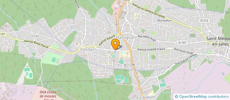 localisation de l'entreprise MADAME NINA CARRON  SAINT-MEDARD-EN-JALLES