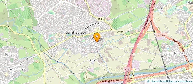 localisation de l'entreprise MADAME NINA-CLELIA DUMONT  SAINT-ESTEVE