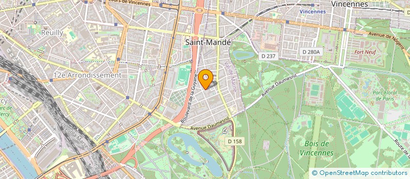 localisation de l'entreprise MADAME NINA GOLDMAN à SAINT-MANDE