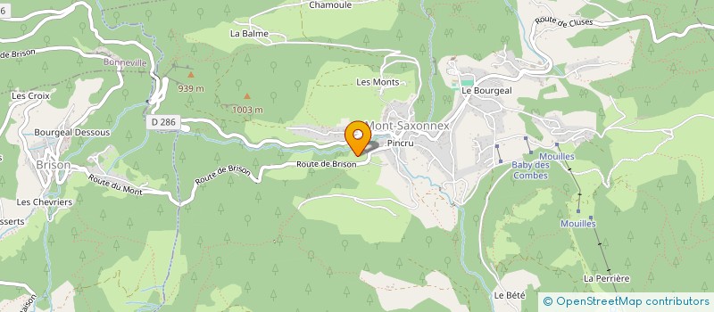 localisation de l'entreprise MADAME NINA GREWAL  BONNEVILLE