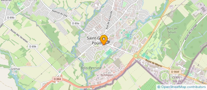 localisation de l'entreprise MADAME NINA IOANA SERBAN à ST-GENIS-POUILLY