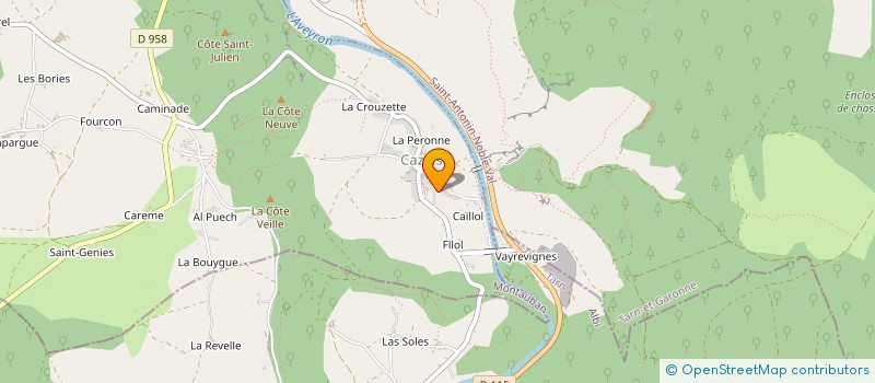 localisation de l'entreprise MADAME NINA LANGEL  SAINT ANTONIN NOBLE VAL