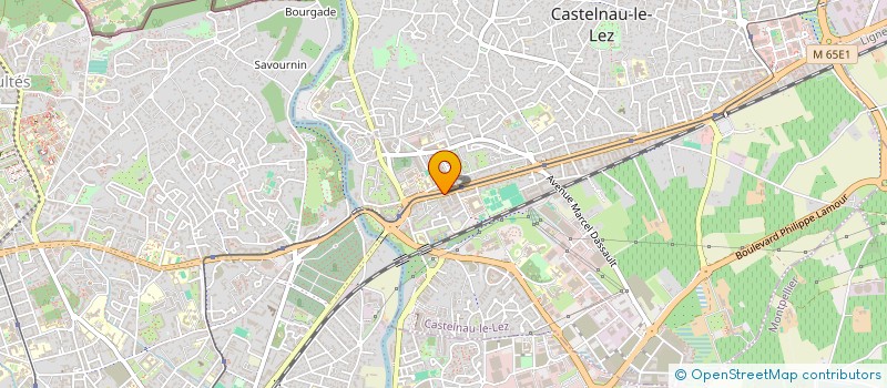 localisation de l'entreprise MADAME NINA MAZEAU  MONTPELLIER