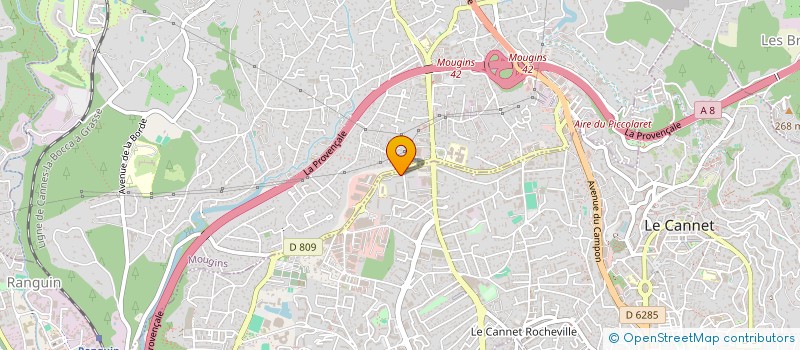 localisation de l'entreprise MADAME NINA ROUILLARD  LE CANNET