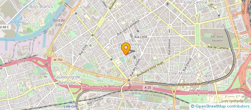 localisation de l'entreprise MADAME NINE JACQUET à LILLE