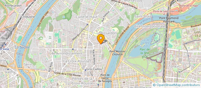 localisation de l'entreprise MADAME NINON JACQUEMIN  LYON