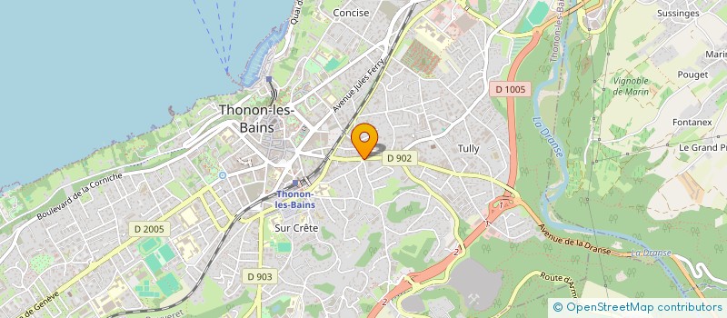 localisation de l'entreprise MADAME NIOUMA SOUMARE à THONON-LES-BAINS