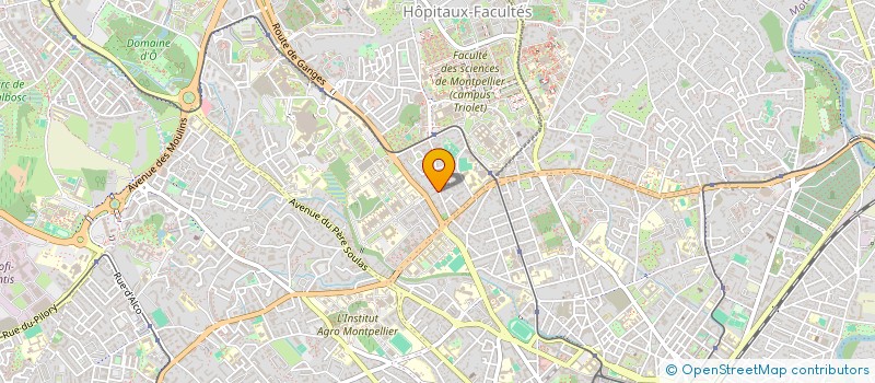 localisation de l'entreprise MADAME NOA-STEREDEN SPRINGER à MONTPELLIER