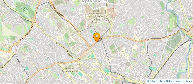 localisation de l'entreprise MADAME NOA VILALTA à MONTPELLIER