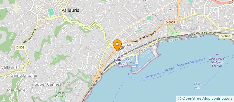 localisation de l'entreprise MADAME NOAM EMSELLEM  VALLAURIS