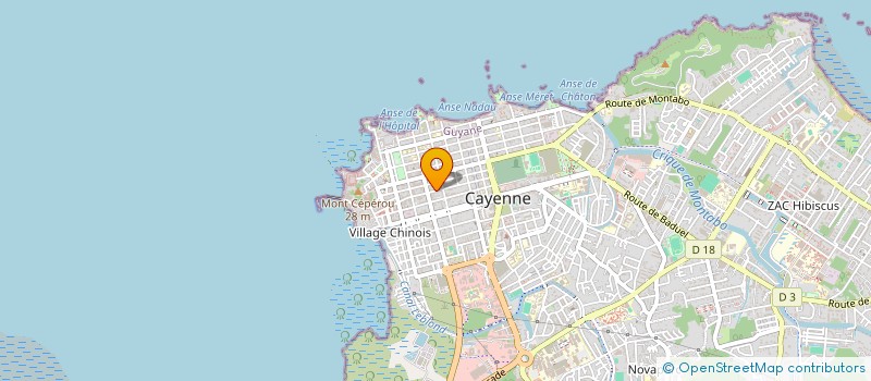 localisation de l'entreprise MADAME NOEL HAYNES  CAYENNE