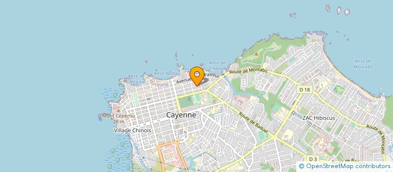 localisation de l'entreprise MADAME NOELI JORIS à CAYENNE