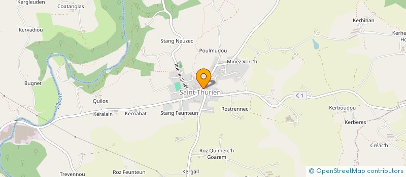 localisation de l'entreprise MADAME NOELLA GAYET  SAINT-THURIEN