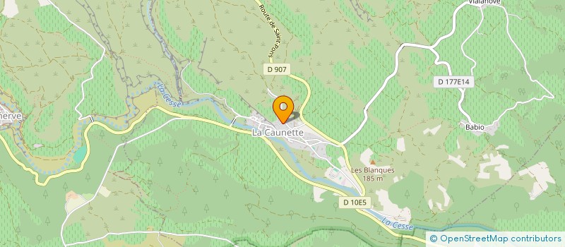 localisation de l'entreprise MADAME NOELLE RAYSSEGUIER  LA CAUNETTE