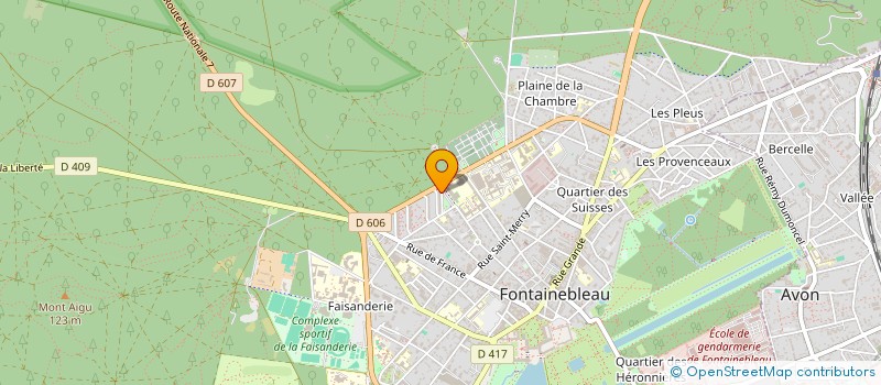 localisation de l'entreprise MADAME NOEMI LEVY  FONTAINEBLEAU