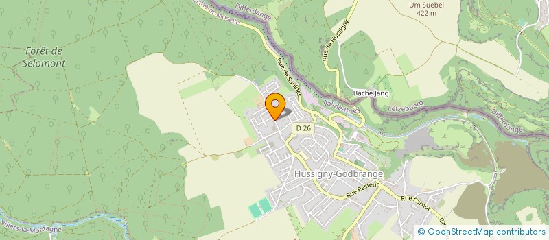 localisation de l'entreprise MADAME NOEMIE COURTOIS  HUSSIGNY-GODBRANGE