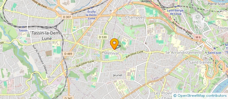 localisation de l'entreprise MADAME NOEMIE FELIX  LYON