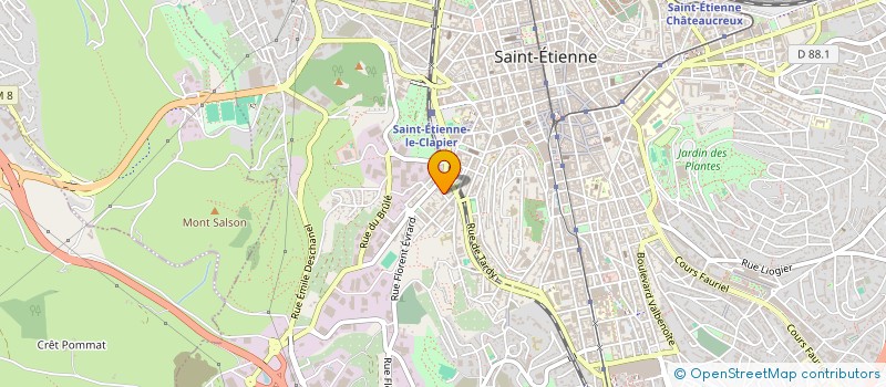 localisation de l'entreprise MADAME NOEMIE RAJI  SAINT-ETIENNE