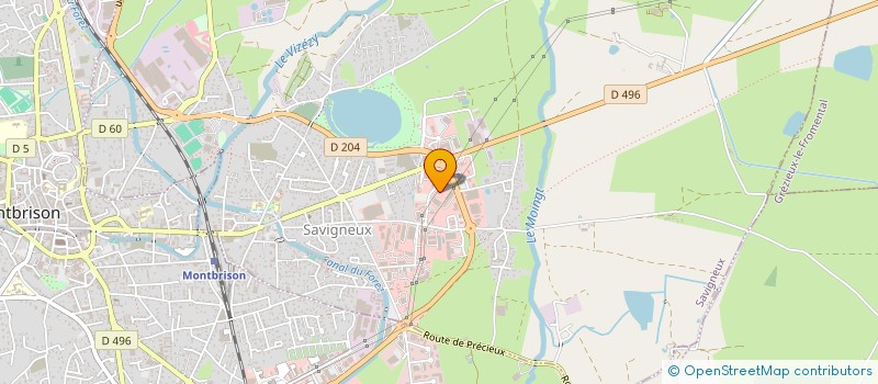 localisation de l'entreprise MADAME NOEMIE TASTAVIN  SAVIGNEUX