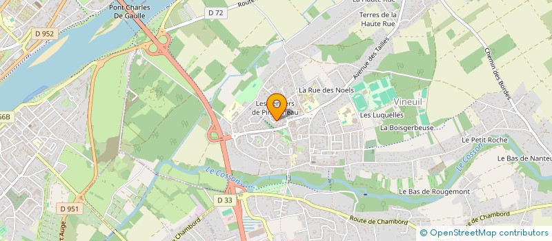localisation de l'entreprise MADAME NOEMIE TROGNON à VINEUIL