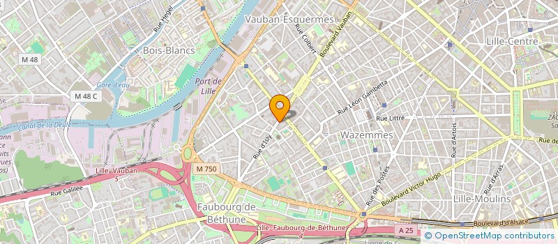 localisation de l'entreprise MADAME NOHA AL TAWATI à LILLE