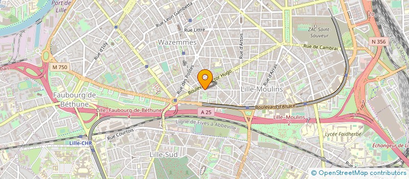 localisation de l'entreprise MADAME NOLWENN ANIER à LILLE