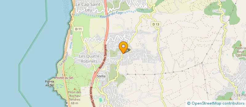 localisation de l'entreprise MADAME NOLWENN LE GONIDEC  SAINT-LEU