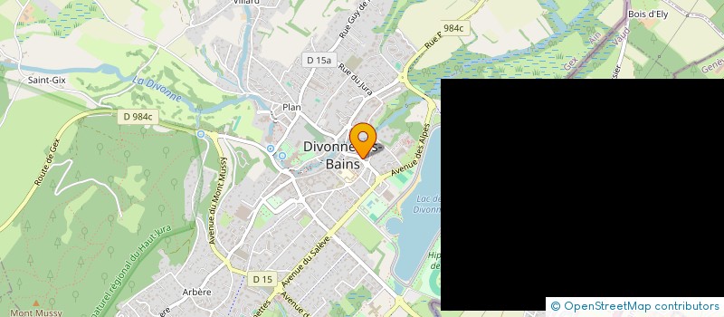 localisation de l'entreprise MADAME NOLWENN ROUE à DIVONNE-LES-BAINS